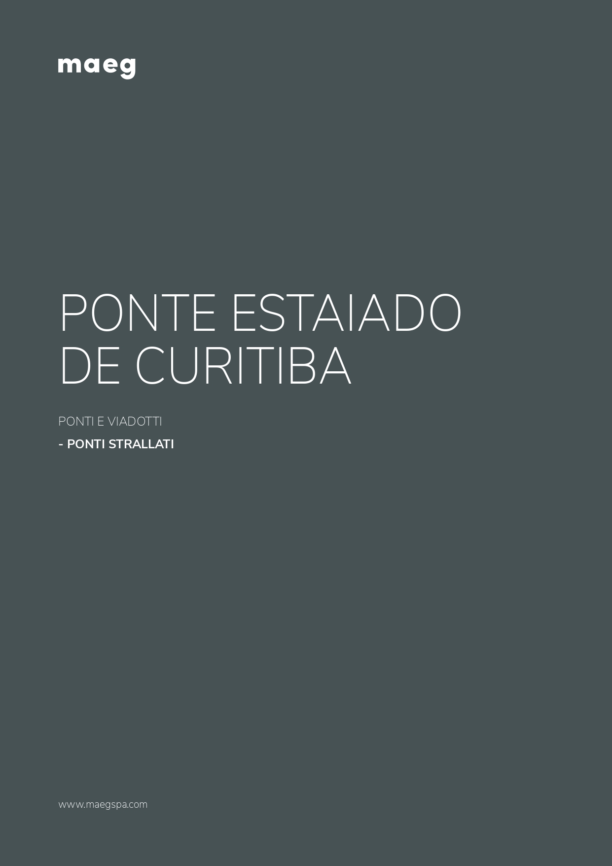 Estaido de Curitiba bridge
